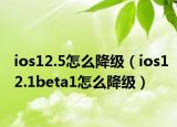 ios12.5怎么降級（ios12.1beta1怎么降級）