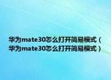 華為mate30怎么打開簡易模式（華為mate30怎么打開簡易模式）