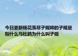 今日更新楊花落盡子規(guī)啼的子規(guī)是指什么鳥杜鵑為什么叫子規(guī)