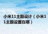 小米11主題設(shè)計（小米11主題設(shè)置在哪）