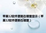 蘋果12軟件更新在哪里顯示（蘋果12軟件更新在哪里）
