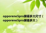 opporeno5pro屏幕多大尺寸（opporeno5pro屏幕多大）