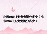 小米max3安兔兔跑分多少（小米max3安兔兔跑分多少）