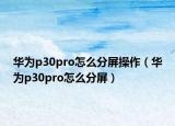 華為p30pro怎么分屏操作（華為p30pro怎么分屏）