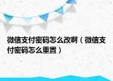 微信支付密碼怎么改啊（微信支付密碼怎么重置）