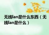 無線lan是什么東西（無線lan是什么）