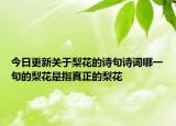 今日更新關(guān)于梨花的詩(shī)句詩(shī)詞哪一句的梨花是指真正的梨花