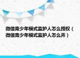 微信青少年模式監(jiān)護(hù)人怎么授權(quán)（微信青少年模式監(jiān)護(hù)人怎么弄）