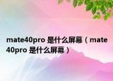 mate40pro 是什么屏幕（mate40pro 是什么屏幕）