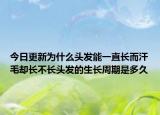 今日更新為什么頭發(fā)能一直長而汗毛卻長不長頭發(fā)的生長周期是多久