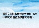 橫排文本框怎么設(shè)置word（word將文本設(shè)置為橫排文本框）