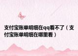 支付寶賬單明細(xì)在qq看不了（支付寶賬單明細(xì)在哪里看）