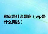 微盤是什么網(wǎng)盤（wp是什么網(wǎng)站）