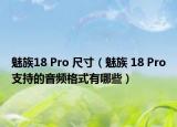 魅族18 Pro 尺寸（魅族 18 Pro支持的音頻格式有哪些）