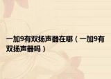 一加9有雙揚聲器在哪（一加9有雙揚聲器嗎）
