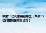 蘋果13訪問限制在哪里（蘋果13訪問限制在哪里設(shè)置）