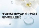 蘋果se和5s有什么區(qū)別（蘋果se和5s有什么區(qū)別）