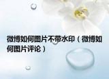 微博如何圖片不帶水?。ㄎ⒉┤绾螆D片評(píng)論）
