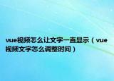 vue視頻怎么讓文字一直顯示（vue視頻文字怎么調(diào)整時間）