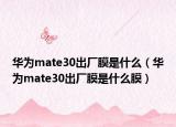 華為mate30出廠(chǎng)膜是什么（華為mate30出廠(chǎng)膜是什么膜）