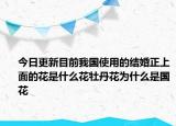 今日更新目前我國使用的結(jié)婚正上面的花是什么花牡丹花為什么是國花