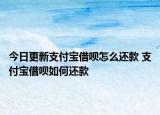今日更新支付寶借唄怎么還款 支付寶借唄如何還款
