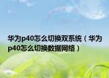 華為p40怎么切換雙系統(tǒng)（華為p40怎么切換數(shù)據(jù)網(wǎng)絡(luò)）