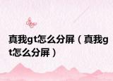 真我gt怎么分屏（真我gt怎么分屏）