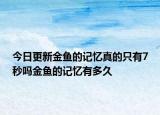 今日更新金魚的記憶真的只有7秒嗎金魚的記憶有多久