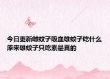 今日更新雌蚊子吸血雄蚊子吃什么原來雄蚊子只吃素是真的