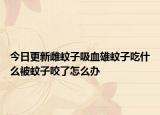 今日更新雌蚊子吸血雄蚊子吃什么被蚊子咬了怎么辦