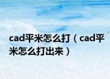 cad平米怎么打（cad平米怎么打出來）