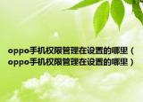 oppo手機(jī)權(quán)限管理在設(shè)置的哪里（oppo手機(jī)權(quán)限管理在設(shè)置的哪里）