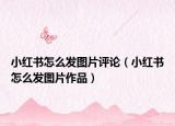 小紅書(shū)怎么發(fā)圖片評(píng)論（小紅書(shū)怎么發(fā)圖片作品）