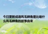 今日更新成語鳳毛麟角是比喻什么鳳毛麟角的故事由來
