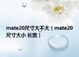 mate20尺寸大不大（mate20尺寸大小 長寬）