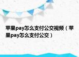 蘋果pay怎么支付公交視頻（蘋果pay怎么支付公交）