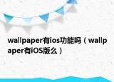 wallpaper有ios功能嗎（wallpaper有iOS版么）