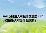 soul僅陌生人可見什么意思（soul僅陌生人可見什么意思）