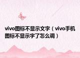 vivo圖標(biāo)不顯示文字（vivo手機(jī)圖標(biāo)不顯示字了怎么調(diào)）