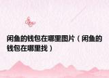 閑魚的錢包在哪里圖片（閑魚的錢包在哪里找）