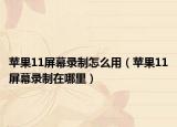 蘋果11屏幕錄制怎么用（蘋果11屏幕錄制在哪里）