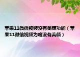 蘋果11微信視頻沒有美顏功能（蘋果11微信視頻為啥沒有美顏）