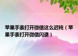 蘋果手表打開微信這么遲鈍（蘋果手表打開微信閃退）