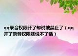 qq錄音權限開了卻說被禁止了（qq開了錄音權限還說不了話）