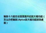 魅族十六能在設(shè)置里面開啟放大鏡功能（怎么辦把魅族16plus放大鏡功能放到桌面）