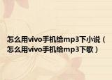 怎么用vivo手機給mp3下小說（怎么用vivo手機給mp3下歌）