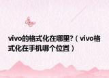 vivo的格式化在哪里?（vivo格式化在手機(jī)哪個(gè)位置）