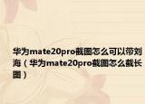 華為mate20pro截圖怎么可以帶劉海（華為mate20pro截圖怎么截長圖）
