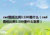 cad圖紙比例1:100是什么（cad圖紙比例1:100是什么意思）